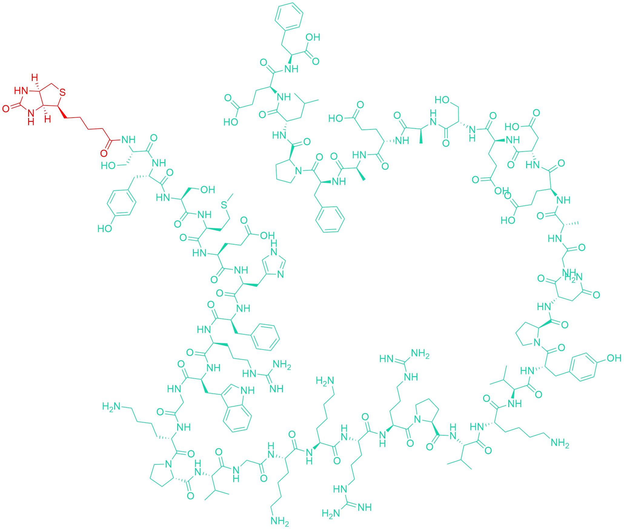 Biotinyl-ACTH (1-39) (human)
