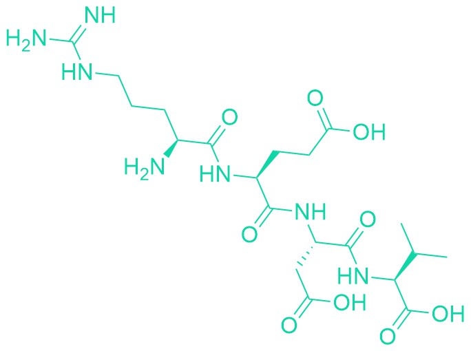 H-Arg-Glu-Asp-Val-OH