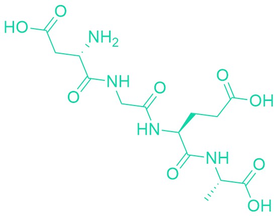 α2β1 Integrin Recognition Sequence