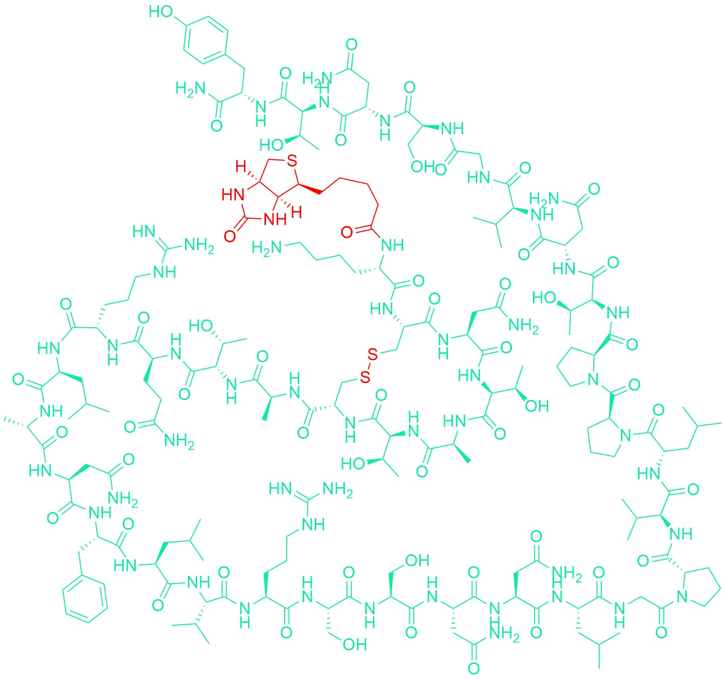 Biotinyl-Amylin (mouse, rat)