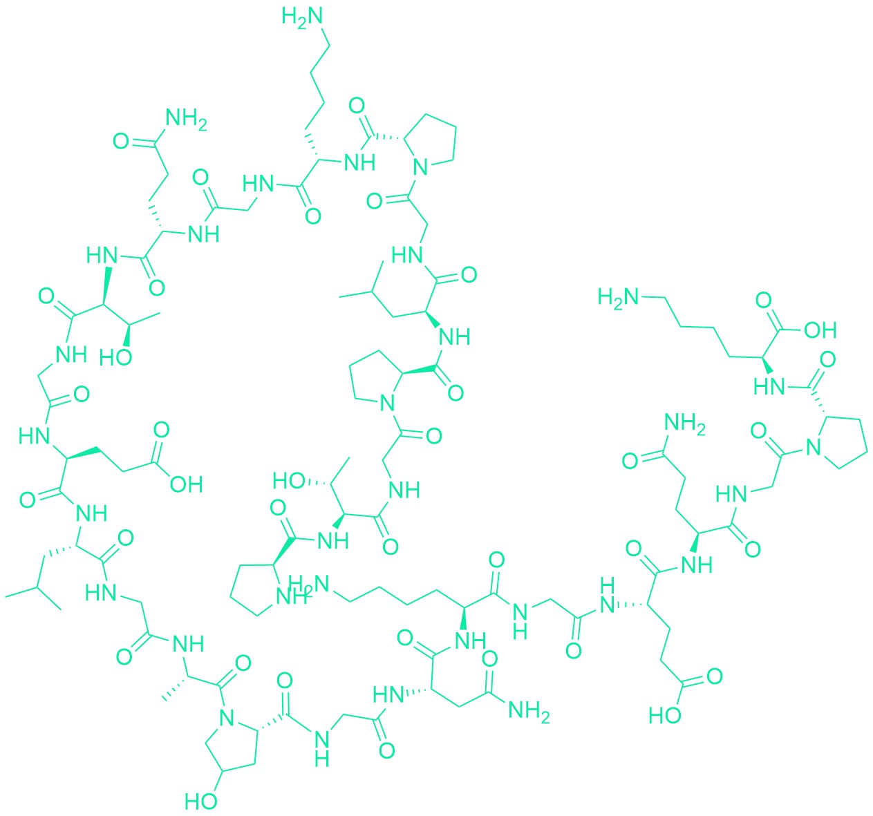 Collagen Type II Fragment