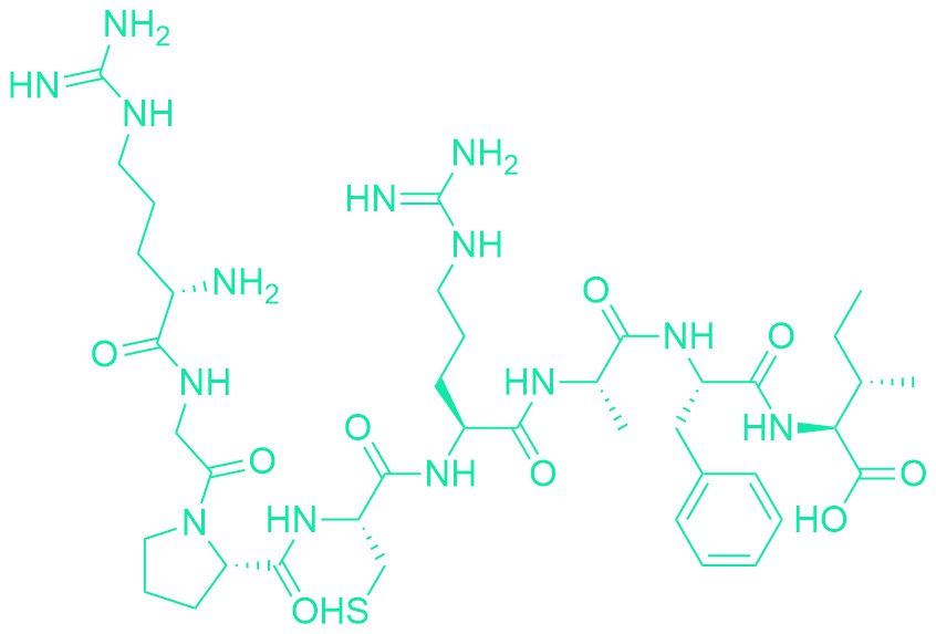 Urinary Trypsin Inhibitor Fragment