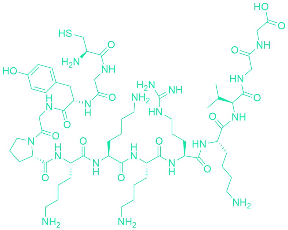 SV40 Nuclear Transport Signal Peptide Analog