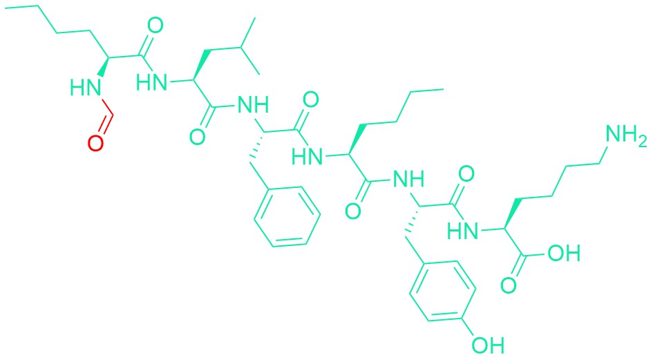 For-Nle-Leu-Phe-Nle-Tyr-Lys-OH