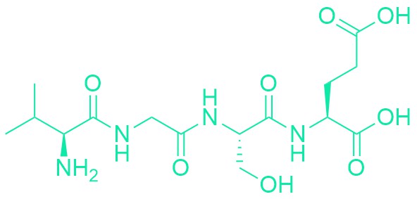 H-Val-Gly-Ser-Glu-OH