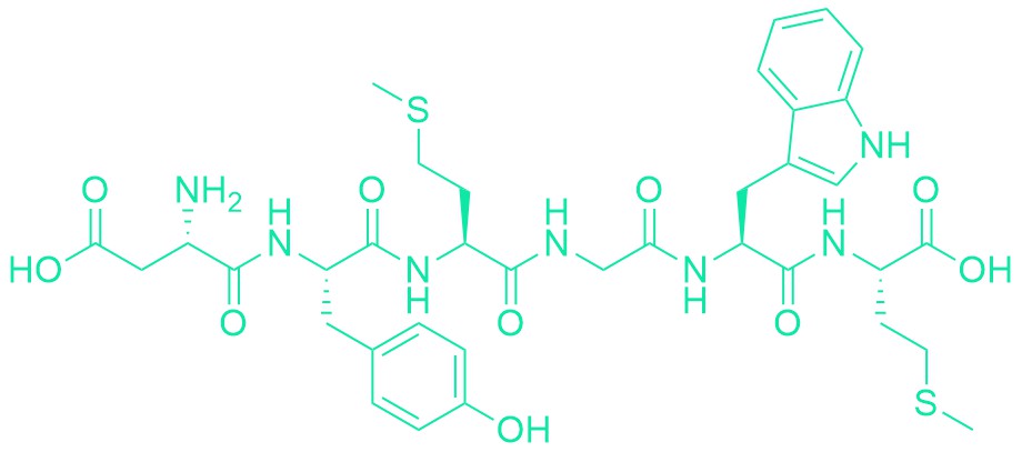 Cholecystokinin Octapeptide (1-6) (desulfated)