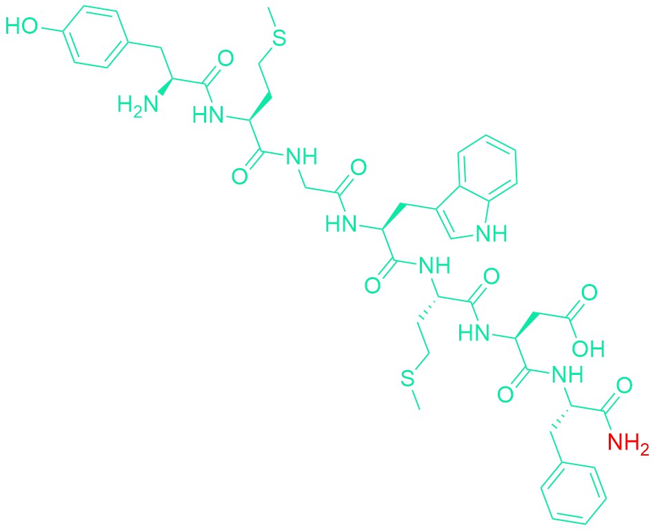 Cholecystokinin Octapeptide (2-8) (desulfated)