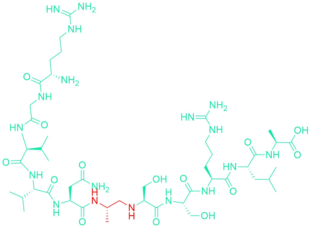 Human CMV Assemblin Protease Inhibitor