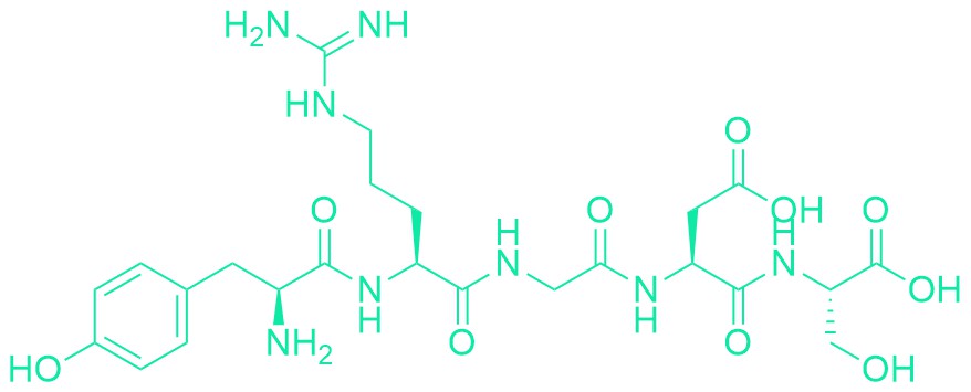 YRGDS Fibronectin Fragment