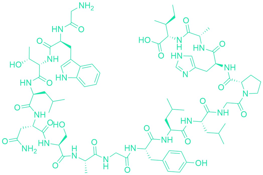 Galanin (1-16) (mouse, porcine, rat)
