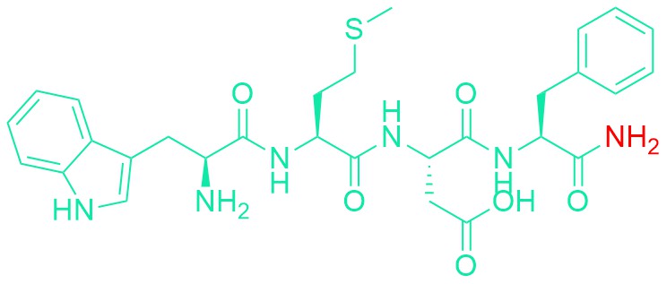 Gastrin Tetrapeptide
