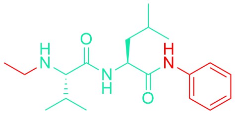 N-Et-Val-Leu-anilide