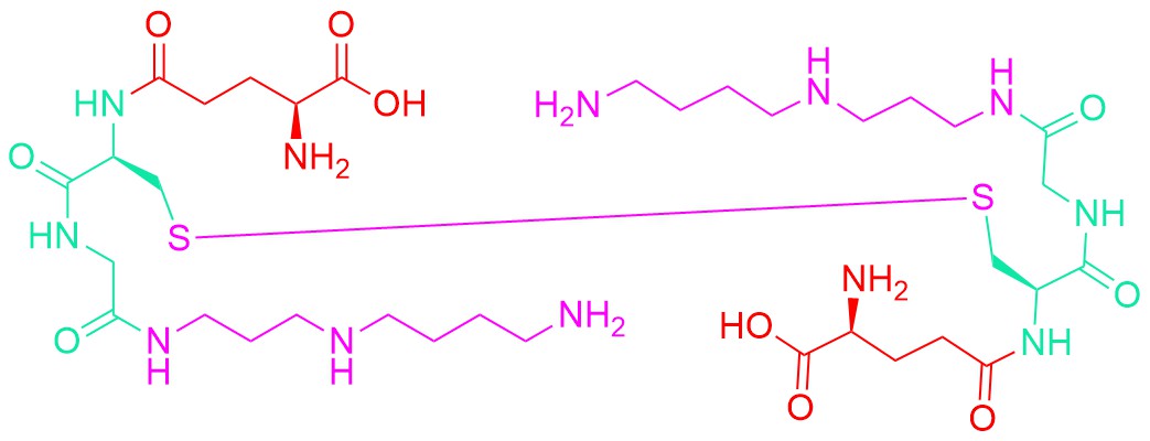 N1-Glutathionyl-spermidine disulfide