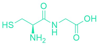 H-Cys-Gly-OH