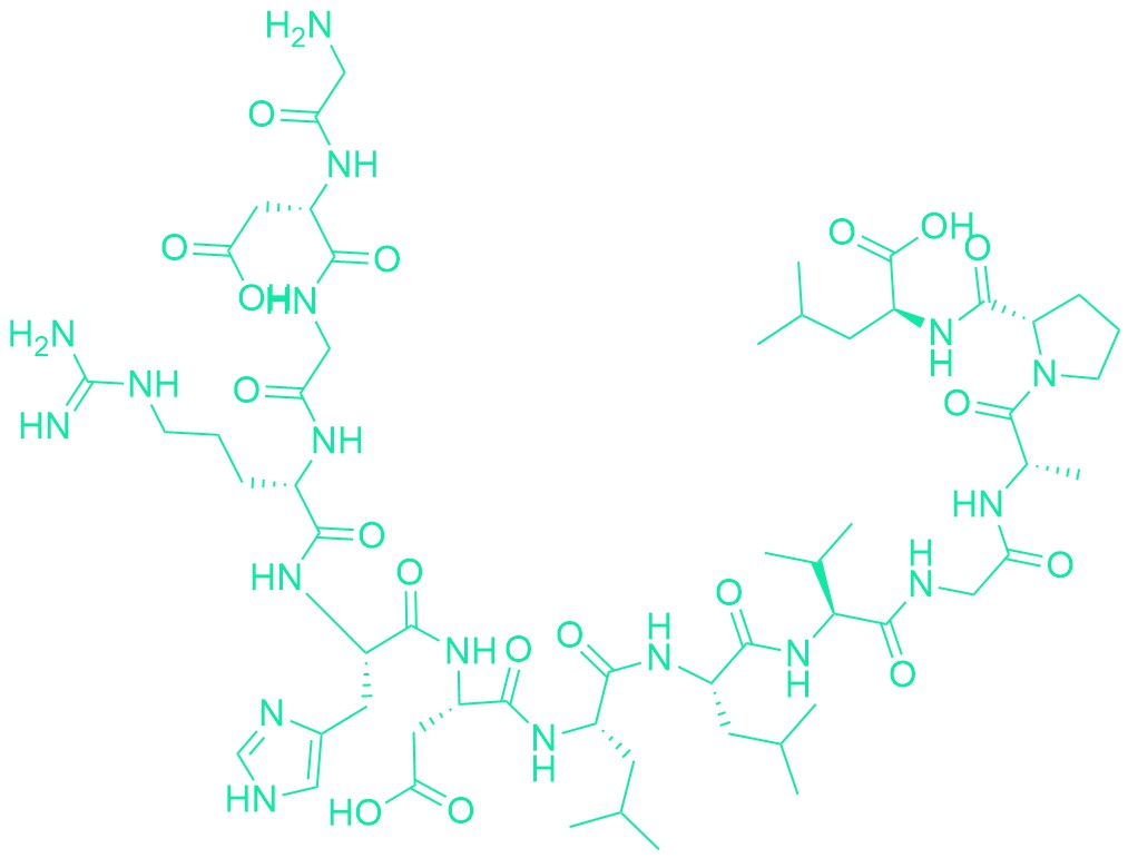 Glycoprotein IIb Fragment (300-312)