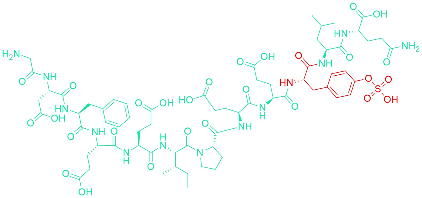 Hirudin (54-65) (sulfated)