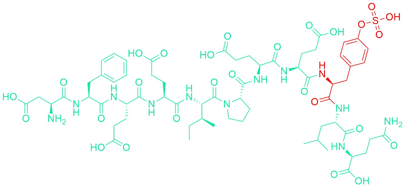 Hirudin (55-65) (sulfated)