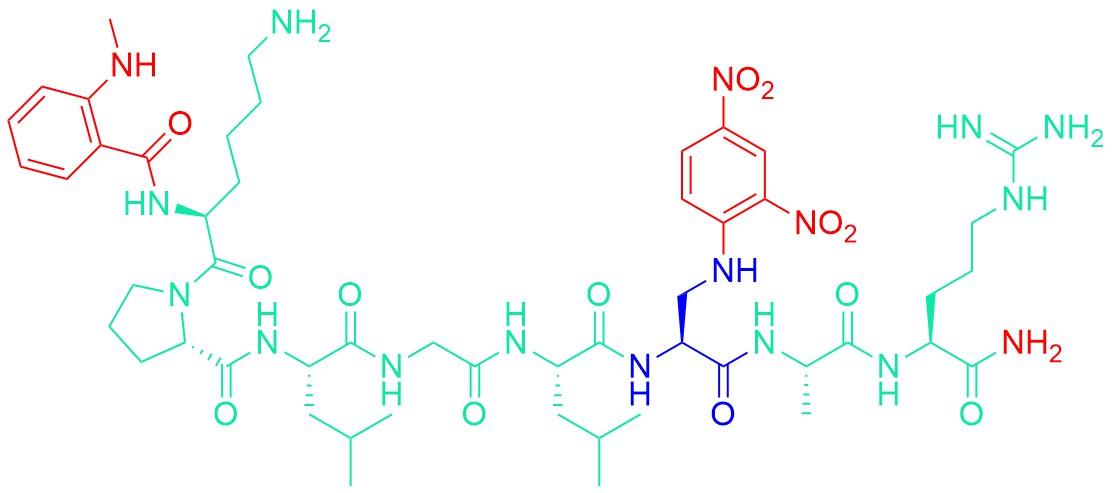 N-Me-Abz-Lys-Pro-Leu-Gly-Leu-Dap(Dnp)-Ala-Arg-NH2