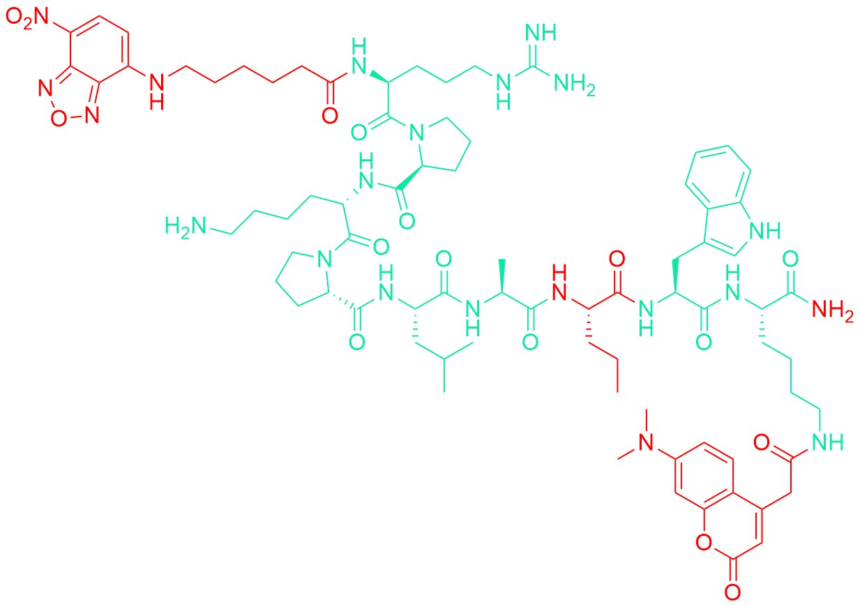 NBD-ε-aminocaproyl-Arg-Pro-Lys-Pro-Leu-Ala-Nva-Trp-Lys(DMACA)-NH2
