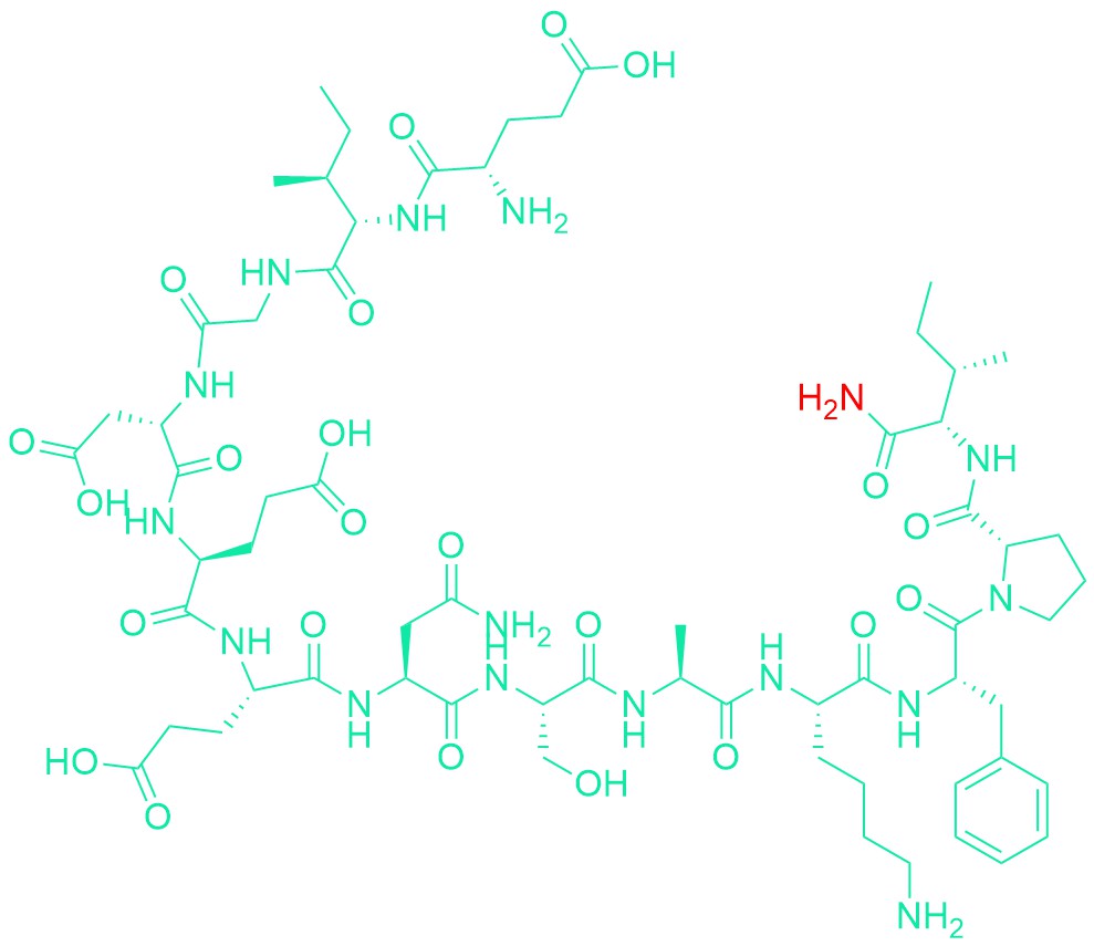 Neuropeptide EI (human, mouse, rat)