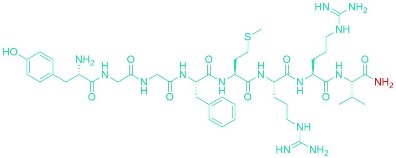 Metorphamide
