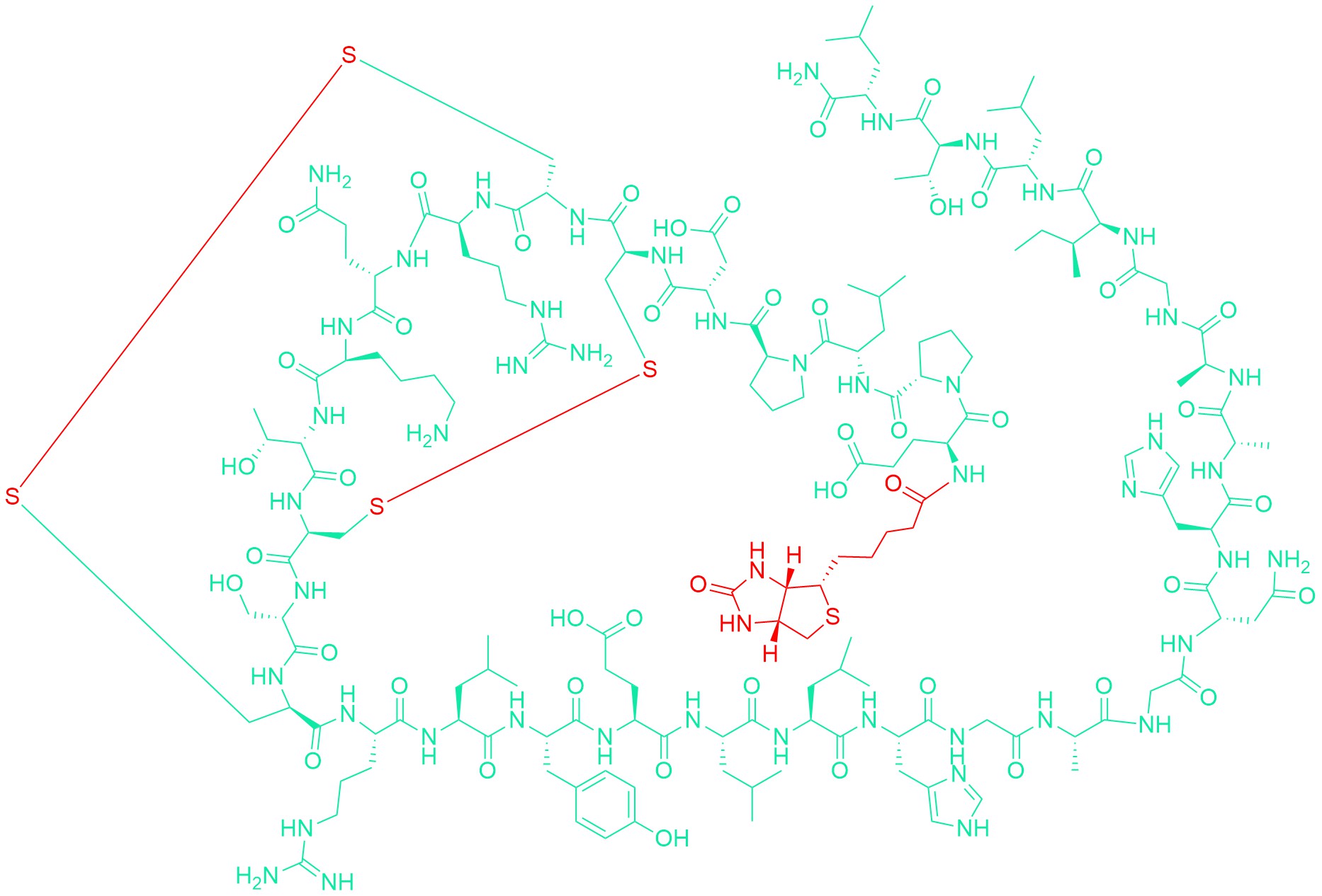 Biotinyl-(Glu1)-Orexin A (human, mouse, rat)