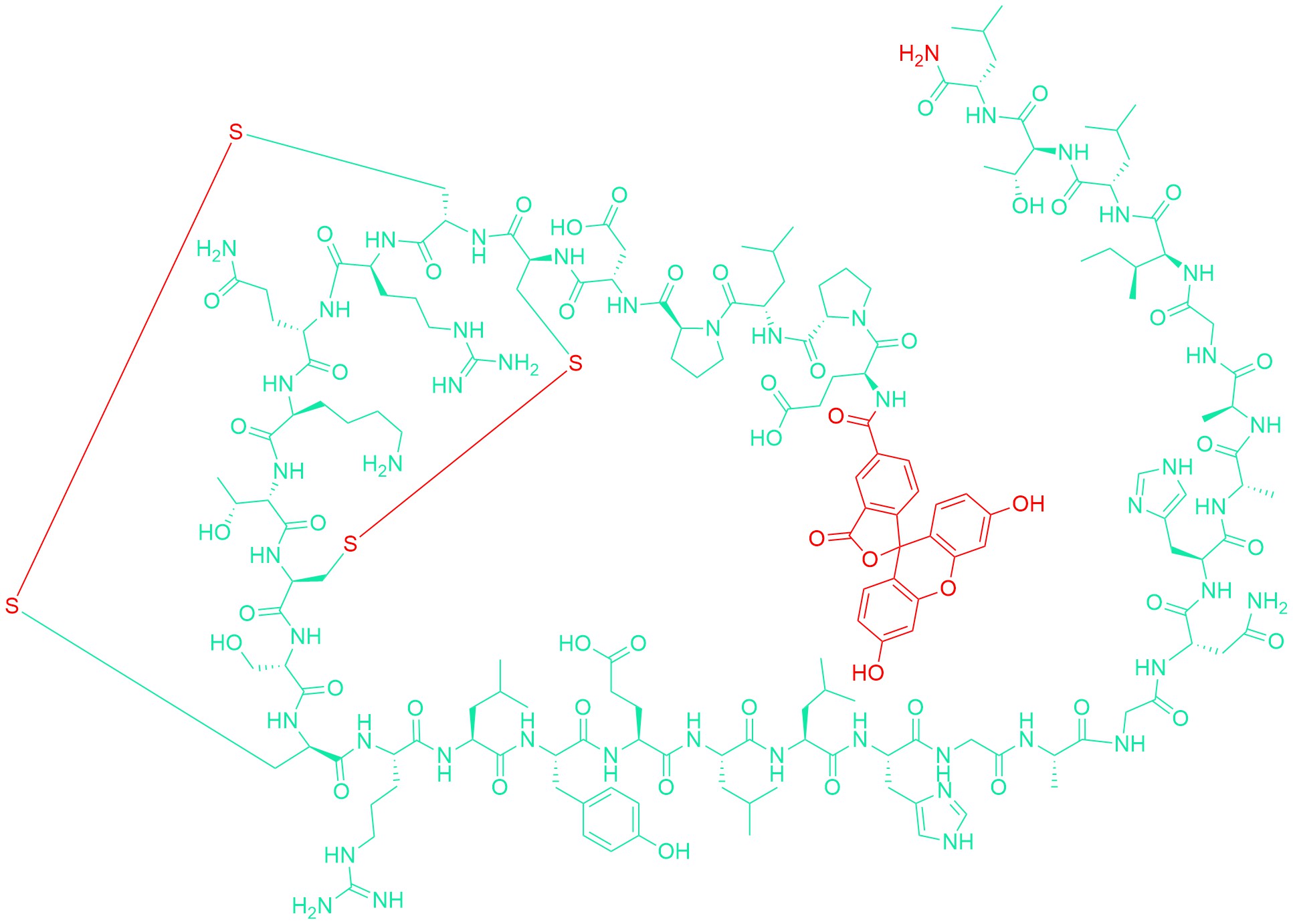 5(6)-FAM-(Glu1)-Orexin A (human, mouse, rat)