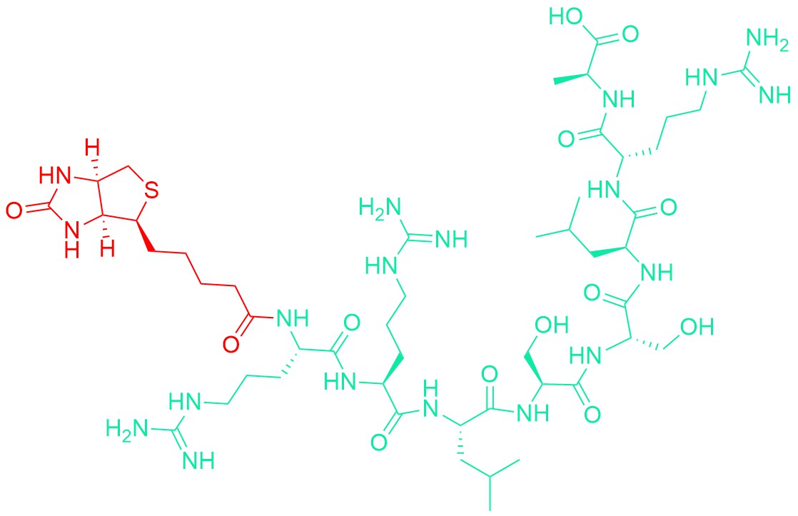 Biotinyl-S6 Phosphate Acceptor Peptide