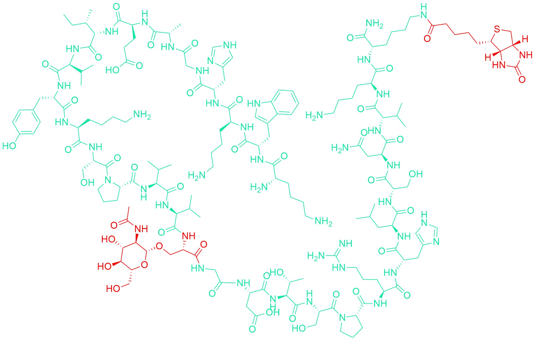 Lys-Trp-Lys-(Ser(GlcNAc-β-D)400)-Tau Peptide (388 - 411)-Lys-Lys(biotinyl) amide