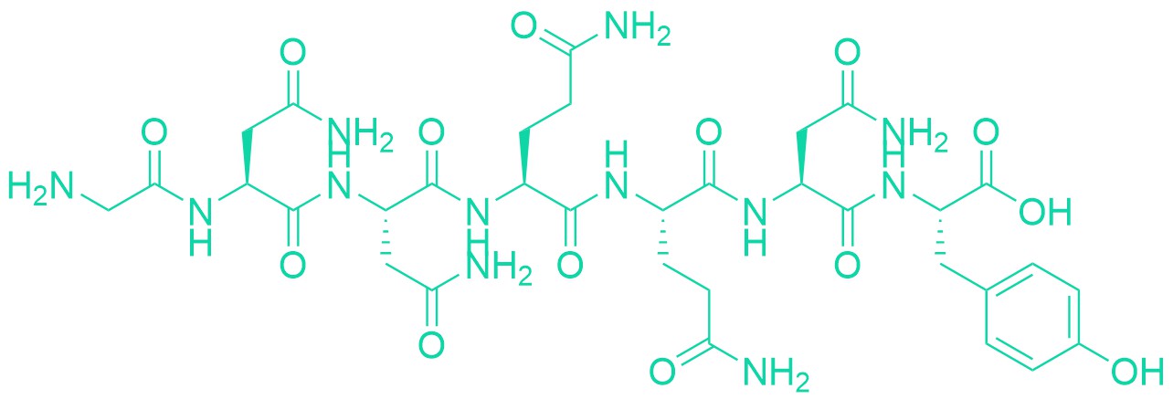 Amyloid-Forming peptide GNNQQNY