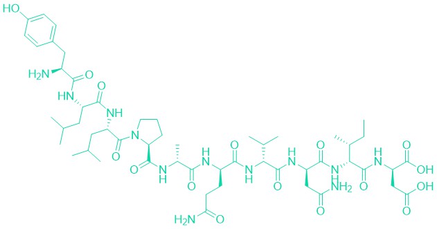 Neurotrophic Factor for Retinal Cholinergic Neurons