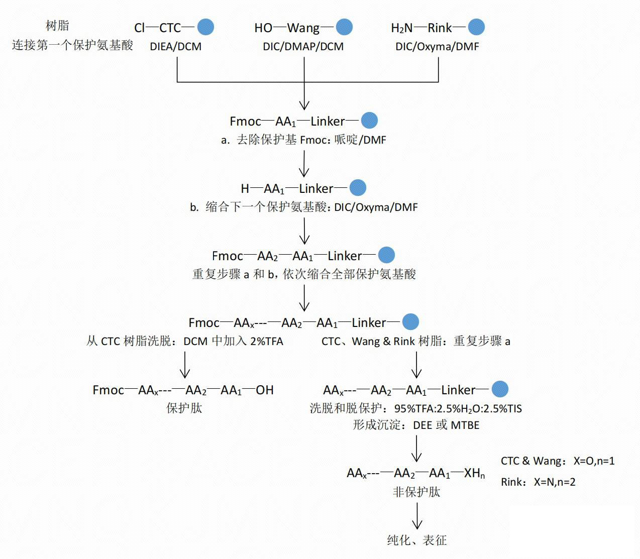 固相合成简单流程图.jpg