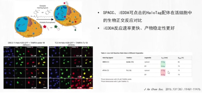 1790170429127201.jpg 图片-6.jpg