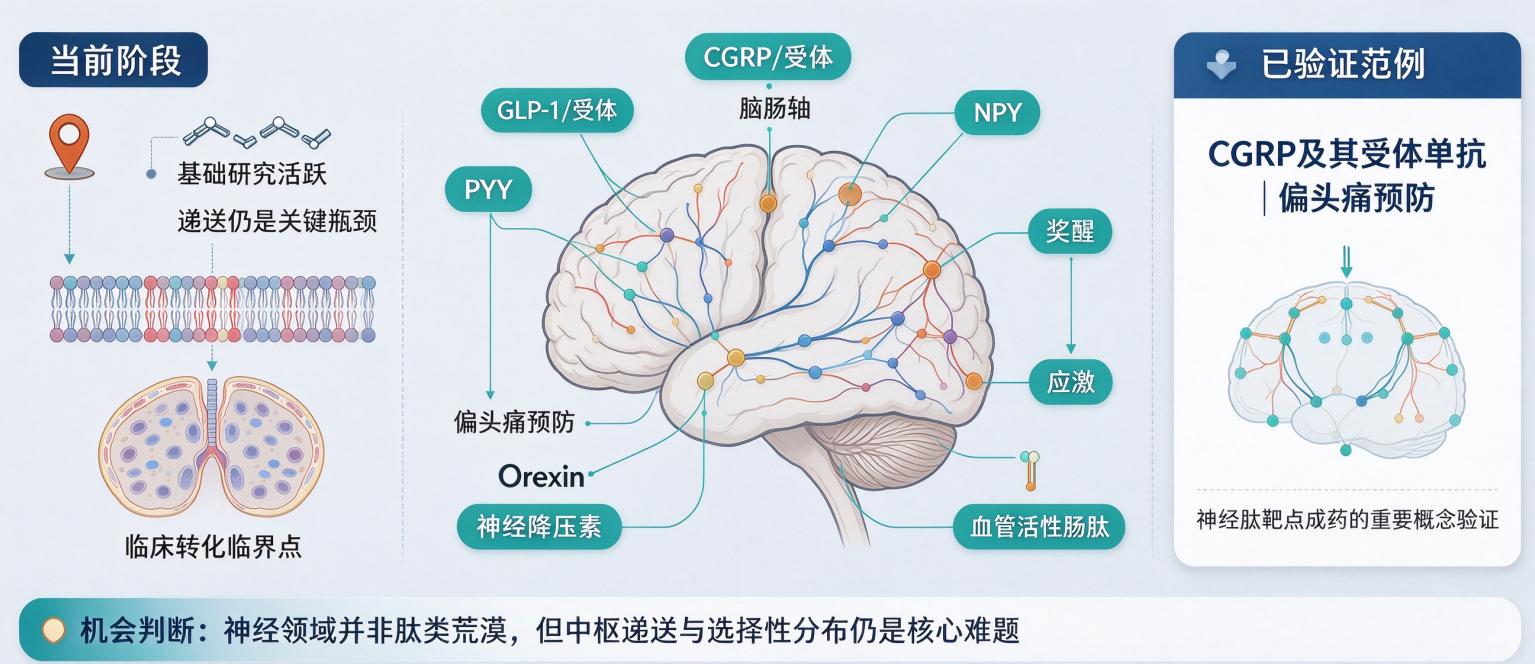 1790306388594613.jpg 图片7.jpg